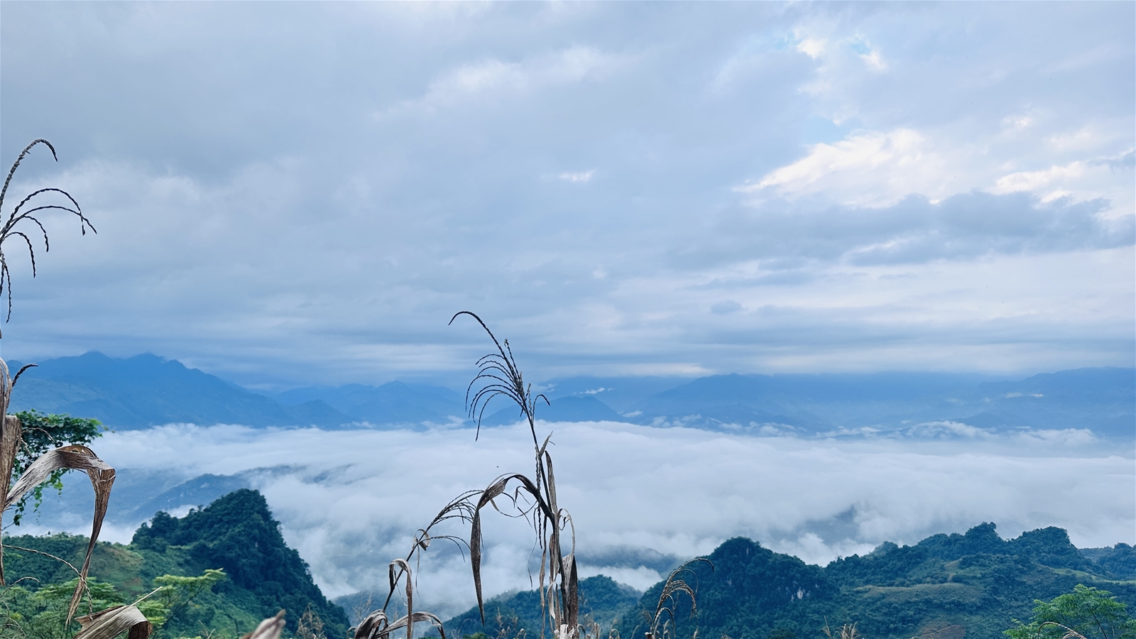 Du lịch cộng đồng Suối Giàng: Khi tiếng kèn Mông hoà cùng hương chè cổ thụ